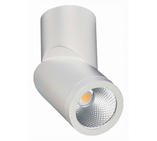 Светодиодный спот ST Luce ST650.532.10 Светодиодный спот ST Luce ST650.532.10