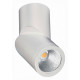 Светодиодный спот ST Luce ST650.532.10
