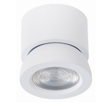 Светодиодный спот ST Luce ST654.532.10