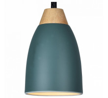 Подвесной светильник Toplight Leah TL0724H-2G