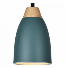 Подвесной светильник Toplight Leah TL0724H-2G