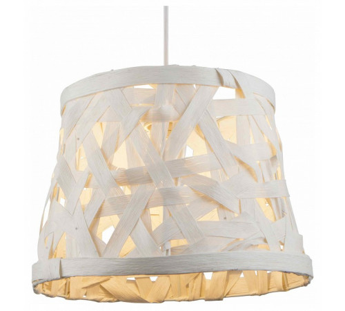 Подвесной светильник Toplight Patricia TL1122-1H
