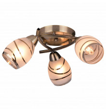 Потолочная люстра Toplight Polly TL3720X-03AB