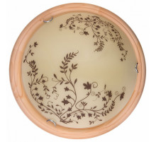 Настенно-потолочный светодиодный светильник Toplight Irene TL9630Y-00PN
