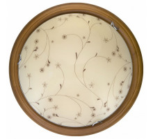 Настенно-потолочный светодиодный светильник Toplight Karissa TL9650Y-00OA