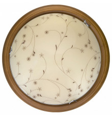 Настенно-потолочный светодиодный светильник Toplight Karissa TL9650Y-00OA