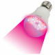 Лампа светодиодная для растений (09645) Uniel E27 9W прозрачная LED-A60-9W/SP/E27/CL ALM01WH