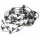 Гирлянда (UL-00006440) Uniel Belt-Light 220V UDL-K110 40/E27/10M IP65 Black