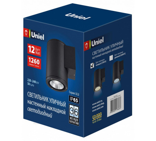 Уличный настенный светильник Uniel ULU-S21С-12W/2700K IP65 BLACK UL-00010845