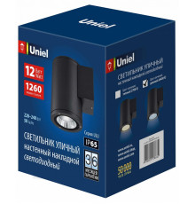 Уличный настенный светильник Uniel ULU-S21С-12W/6400K IP65 BLACK UL-00010846