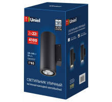 Уличный настенный светильник Uniel ULU-S22D-2x22W/6400K IP65 BLACK UL-00010852