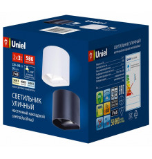Уличный настенный светильник Uniel ULU-S56B-2x3W/3000K+4000K+6000K IP65 WHITE UL-00010856