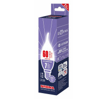 Лампа светодиодная Volpe Norma LED-CW37-7W/6500K/E14/FR/NR UL-00010989