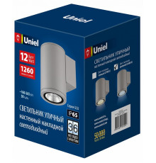 Уличный настенный светильник Uniel ULU-S21С-12W/6400K IP65 LIGHT GREY UL-00011081