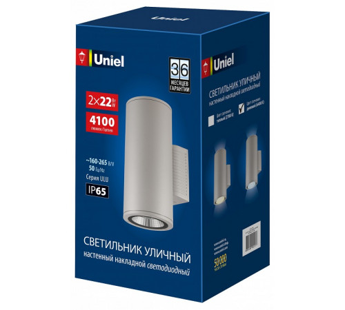Уличный настенный светильник Uniel ULU-S22D-2x22W/6400K IP65 LIGHT GREY UL-00011087 Уличный настенный светильник Uniel ULU-S22D-2x22W/6400K IP65 LIGHT GREY UL-00011087
