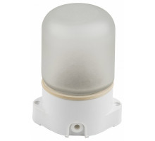 Потолочный светильник Uniel UWL-K01R 60W/E27 IP65 WHITE UL-00011471