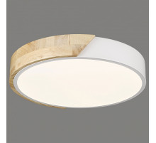 Потолочный светильник Velante 445-007-01