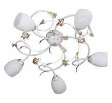 Потолочная люстра Vitaluce V1538/5PL