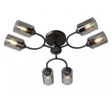 Потолочная люстра Vitaluce V2823-1/6PL