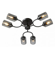 Потолочная люстра Vitaluce V2823-1/6PL