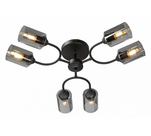 Потолочная люстра Vitaluce V2823-1/6PL Потолочная люстра Vitaluce V2823-1/6PL