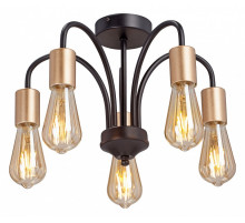 Потолочная люстра Vitaluce V3024-1/5PL