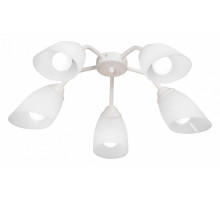 Потолочная люстра Vitaluce V31950/5PL