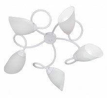 Потолочная люстра Vitaluce V3396/5PL