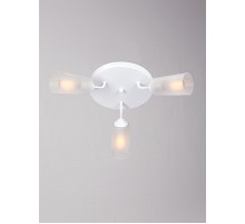 Потолочный светильник Vitaluce V3762-0/3PL