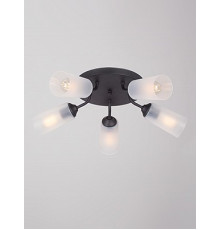 Потолочная люстра Vitaluce V3762-1/5PL