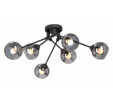 Потолочная люстра Vitaluce V4322-1/6PL