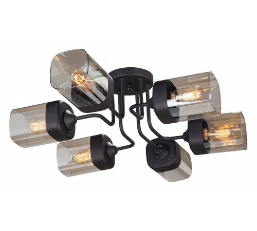 Потолочная люстра Vitaluce V4888-1/6PL