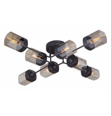 Потолочная люстра Vitaluce V4889-1/8PL