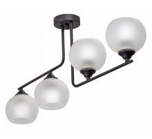 Потолочная люстра Vitaluce V4944-1/4PL