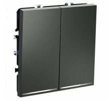 Выключатель двухклавишный с подсветкой Voltum S70 VLS020206
