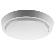 Настенно-потолочный светильник Wolta DBO01-25-4K-SOA