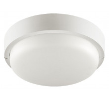 Настенно-потолочный светильник Wolta LCL04-12W-R41-6K-SBA