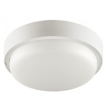 Настенно-потолочный светильник Wolta LCL04-12W-R41-6K-SBA