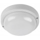 Настенно-потолочный светильник Wolta LCL04-20W-R01-6K