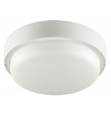 Настенно-потолочный светильник Wolta LCL04-8W-R21-6K-SM