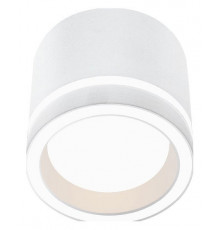 Накладной светильник Wolta Luce WSL-GX53/06W