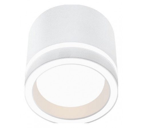Накладной светильник Wolta Luce WSL-GX53/06W