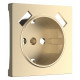 Накладка для розетки USB Werkel шампань W1179511 4690389157462