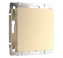 Заглушка Werkel шампань W1159211 4690389157349