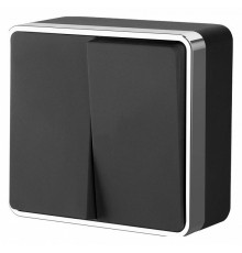 Выключатель двухклавишный Werkel Gallant черный/хром W5020035 4690389164163