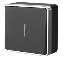 Выключатель одноклавишный с подсветкой Werkel Gallant черный/хром W5010135 4690389163845
