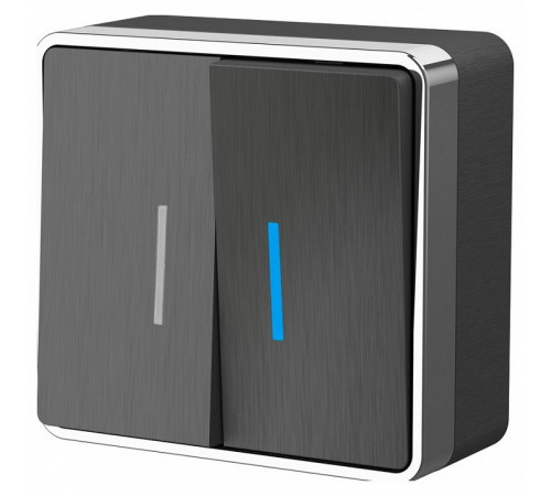 Выключатель двухклавишный с подсветкой Werkel Gallant графит рифленый W5020104 4690389164194