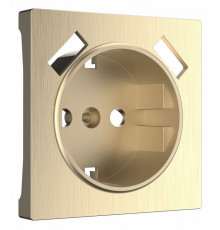 Накладка для розетки USB Werkel шампань рифленый W1179510 4690389160592