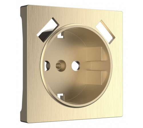 Накладка для розетки USB Werkel шампань рифленый W1179510 4690389160592