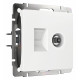 Розетка ТВ+Ethernet Werkel 4690389174414 W1181301